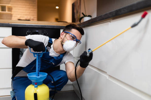 Reliable Olympia Fields, IL Pest Control Solutions