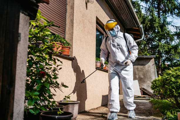 Best Pest Removal Services  in Olympia Fields, IL