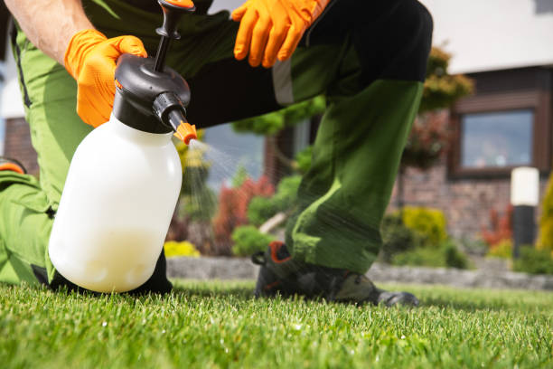 Best Commercial Pest Control Services  in Olympia Fields, IL