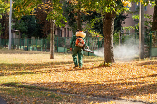 Wasp Removal Services in Olympia Fields, IL