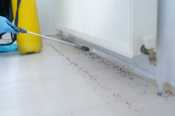 Best Residential Pest Control  in Olympia Fields, IL