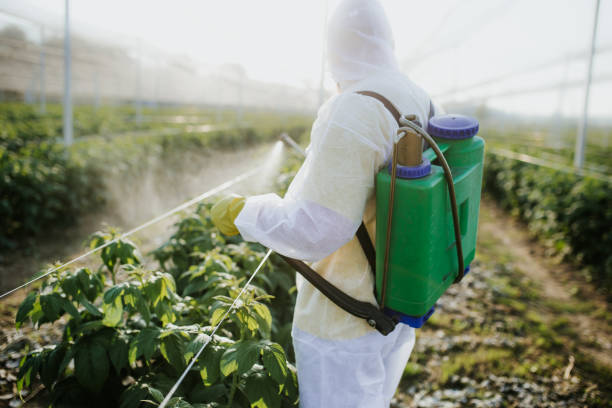 Best Pest Prevention Services  in Olympia Fields, IL